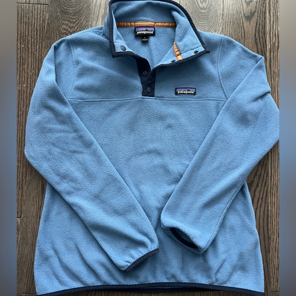 Patagonia Micro-D Snap T Sweater